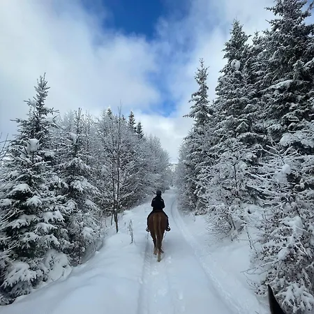 Fleischerei - Apartments, Cafe & Weinbar 아파트호텔