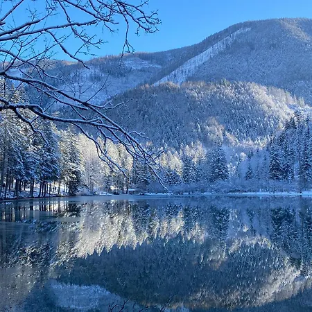 Fleischerei - Apartments, Cafe & Weinbar מלון דירות 4*