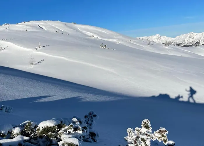 Fleischerei - Apartments, Cafe & Weinbar