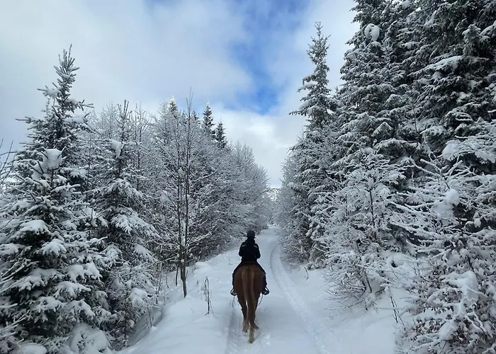 Fleischerei - Apartments, Cafe & Weinbar شقة فندقية