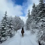 Fleischerei - Apartments, Cafe & Weinbar 아파트호텔