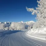 아파트호텔 Fleischerei - Apartments, Cafe & Weinbar 4*