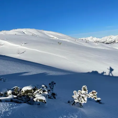 Fleischerei - Apartments, Cafe & Weinbar