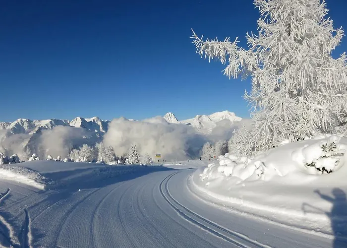 Aparthotel Fleischerei - Apartments, Cafe & Weinbar 4*